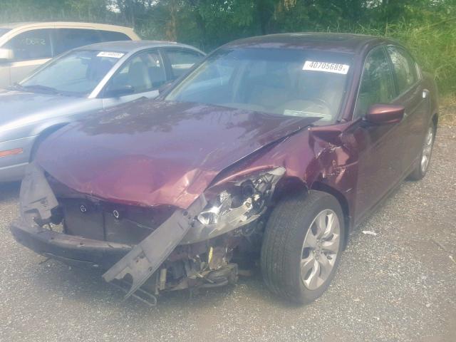 1HGCP36828A044774 - 2008 HONDA ACCORD EXL MAROON photo 2