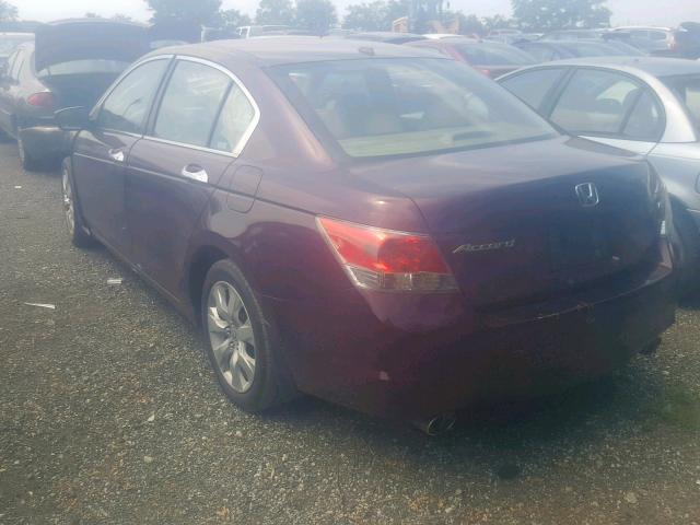 1HGCP36828A044774 - 2008 HONDA ACCORD EXL MAROON photo 3