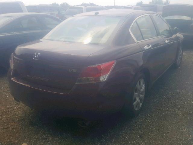 1HGCP36828A044774 - 2008 HONDA ACCORD EXL MAROON photo 4