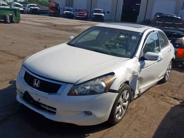 1HGCP36869A801886 - 2009 HONDA ACCORD EXL WHITE photo 2