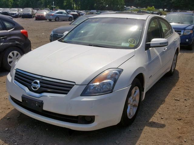 1N4CL21E69C137312 - 2009 NISSAN ALTIMA HYB WHITE photo 2