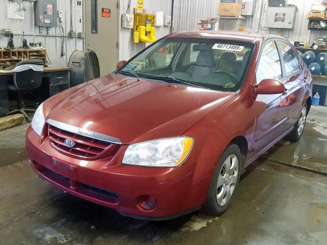 KNAFE121565293040 - 2006 KIA NEW SPECTR RED photo 2