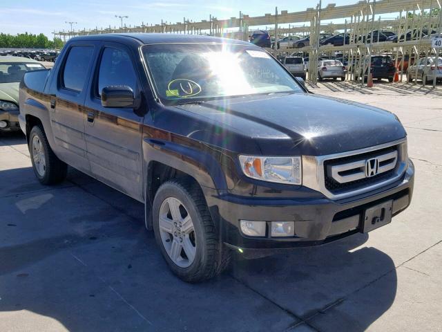 5FPYK16509B100577 - 2009 HONDA RIDGELINE BLACK photo 1