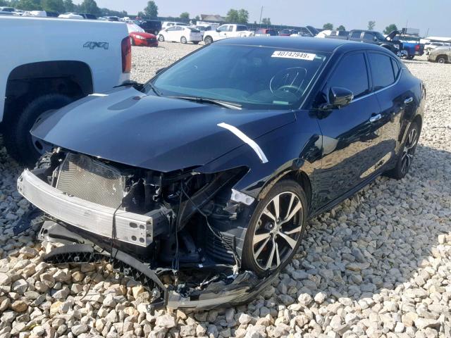 1N4AA6AP4HC381531 - 2017 NISSAN MAXIMA 3.5 BLACK photo 2