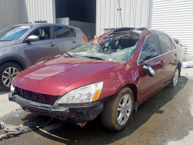 JHMCM568X6C006972 - 2006 HONDA ACCORD EX BURGUNDY photo 2