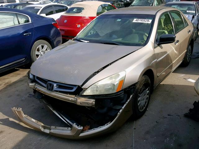 1HGCM56165A128955 - 2005 HONDA ACCORD DX GOLD photo 2