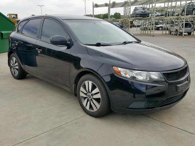 KNAFU5A26D5678981 - 2013 KIA FORTE EX BLACK photo 1