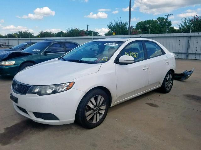 KNAFU4A28D5728273 - 2013 KIA FORTE EX WHITE photo 2