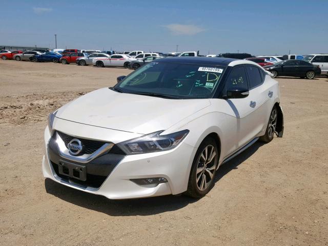 1N4AA6AP4GC386680 - 2016 NISSAN MAXIMA 3.5 WHITE photo 2