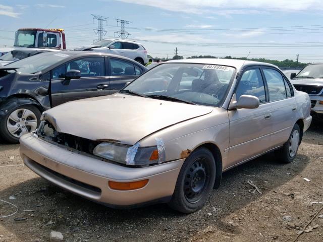 1NXBB02E2TZ495791 - 1996 TOYOTA COROLLA DX BEIGE photo 2