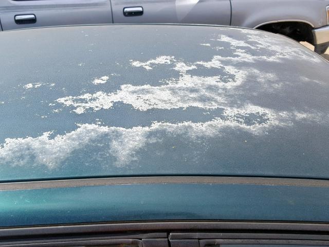 2HGEJ661XYH562146 - 2000 HONDA CIVIC BASE 绿色 照片 9