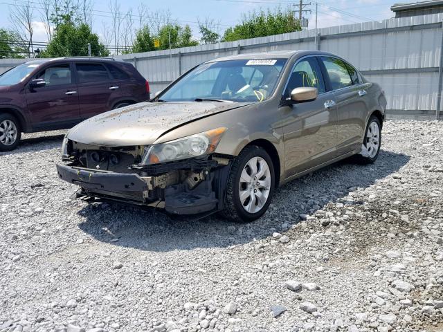 1HGCP36838A024176 - 2008 HONDA ACCORD EXL GOLD photo 2