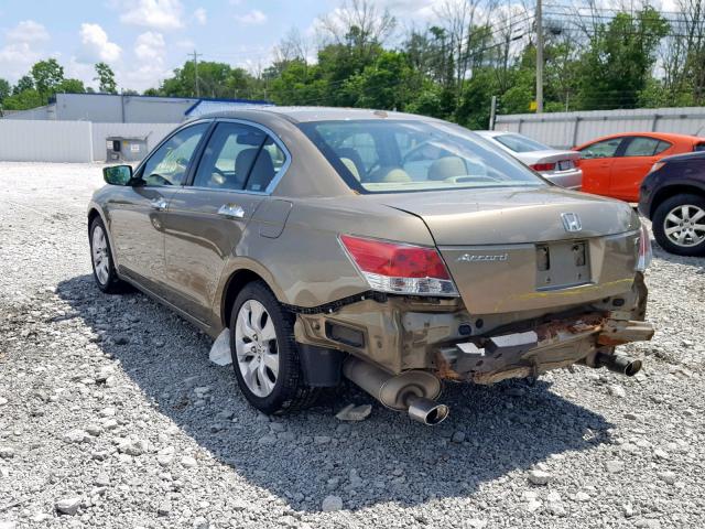 1HGCP36838A024176 - 2008 HONDA ACCORD EXL GOLD photo 3