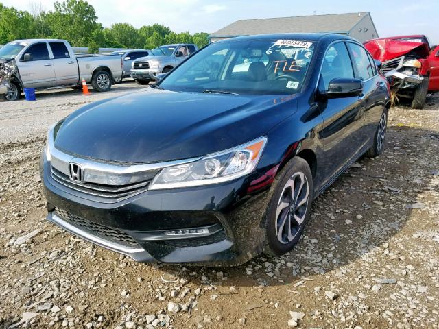 1HGCR2F80HA066616 - 2017 HONDA ACCORD EXL BLACK photo 2