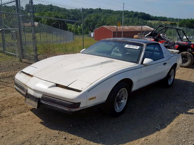 1G2FS23E9LL209946 - 1990 PONTIAC FIREBIRD B WHITE photo 2