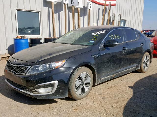 KNAGM4AD3D5042843 - 2013 KIA OPTIMA HYB BLACK photo 2