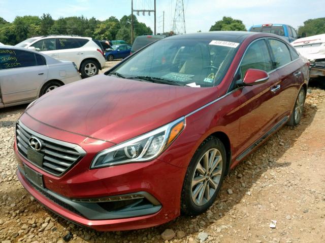 5NPE34AF8GH307534 - 2016 HYUNDAI SONATA SPO RED photo 2