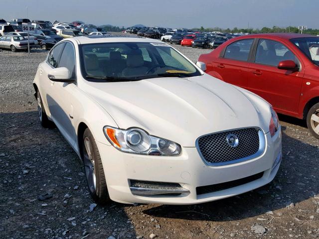 SAJWA05B99HR08514 - 2009 JAGUAR XF LUXURY WHITE photo 1