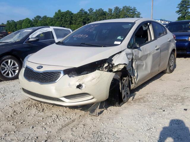 KNAFK4A62F5294329 - 2015 KIA FORTE LX WHITE photo 2