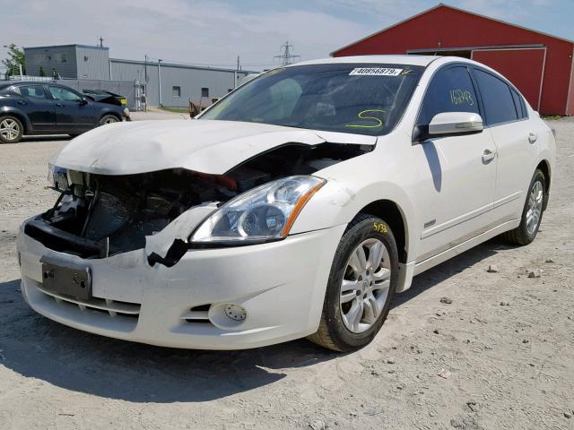 1N4CL2APXAC146729 - 2010 NISSAN ALTIMA HYB WHITE photo 2