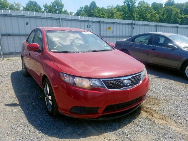 KNAFU4A25D5663334 - 2013 KIA FORTE EX RED photo 1