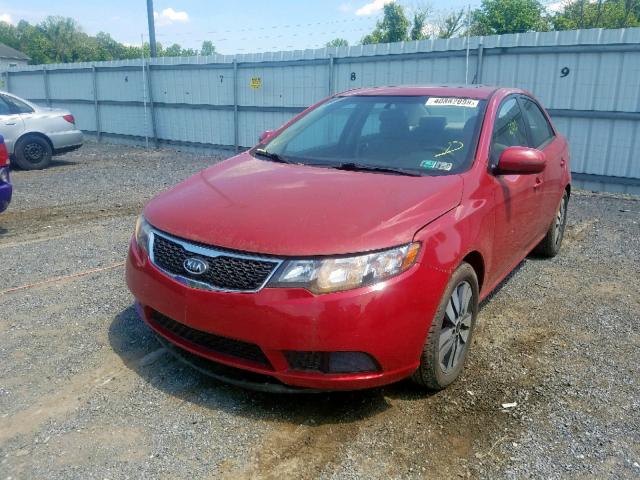 KNAFU4A25D5663334 - 2013 KIA FORTE EX RED photo 2