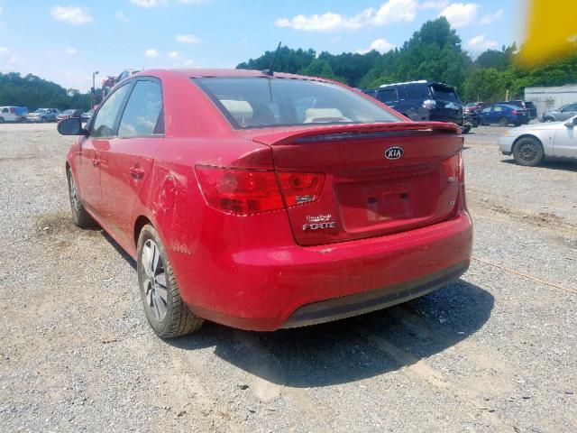 KNAFU4A25D5663334 - 2013 KIA FORTE EX RED photo 3