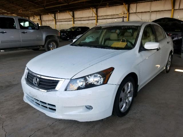 1HGCP36839A029976 - 2009 HONDA ACCORD EXL WHITE photo 2