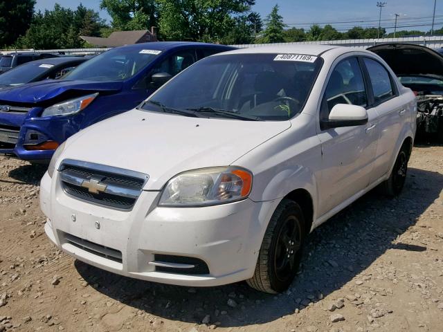 KL1TD5DE3BB142281 - 2011 CHEVROLET AVEO LS WHITE photo 2