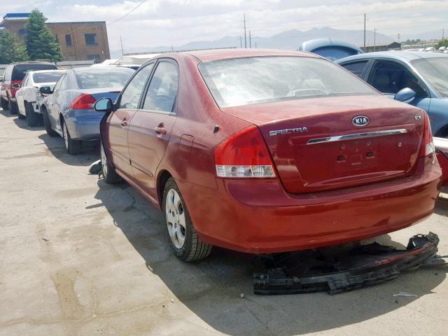 KNAFE222495639002 - 2009 KIA SPECTRA EX RED photo 3