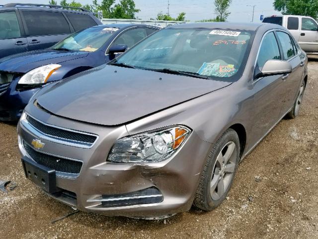 1G1ZC5E10BF126087 - 2011 CHEVROLET MALIBU 1LT 棕色 照片 2