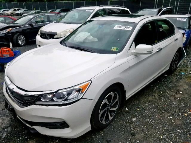 1HGCR2F84GA152042 - 2016 HONDA ACCORD EXL WHITE photo 2