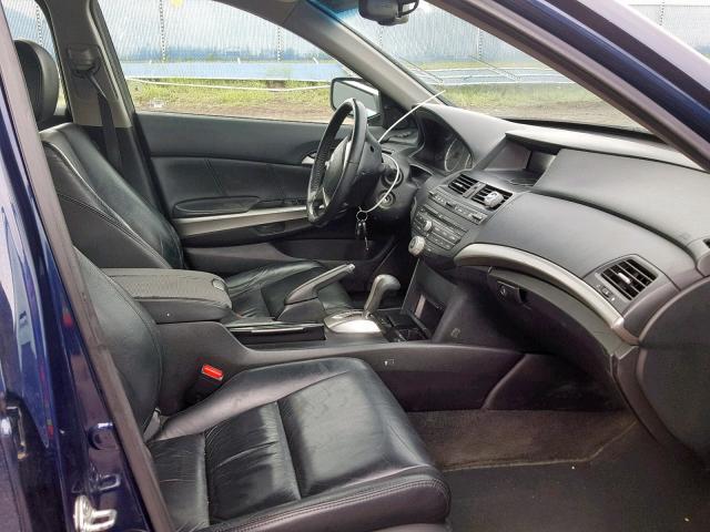 1HGCP36889A801002 - 2009 HONDA ACCORD EXL BLUE photo 5