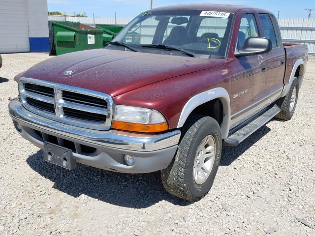 1B7GG2AZ11S159523 - 2001 DODGE DAKOTA QUA MAROON photo 2