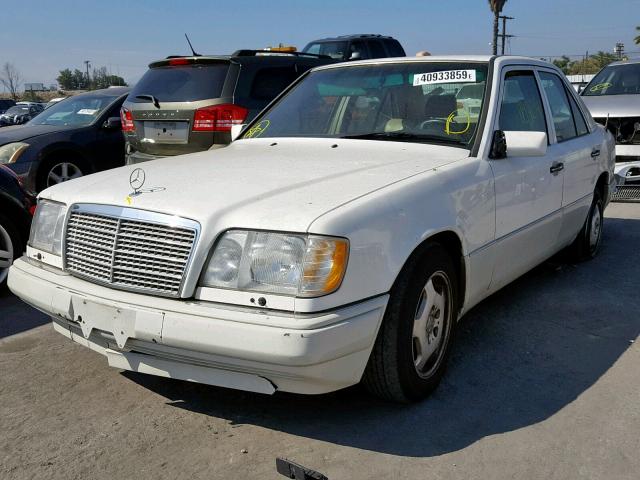 WDBEA34E3RC054560 - 1994 MERCEDES-BENZ E 420 WHITE photo 2