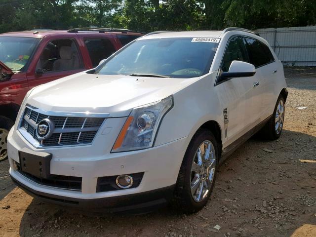 3GYFNEEY5BS630366 - 2011 CADILLAC SRX PERFOR 白色 照片 2
