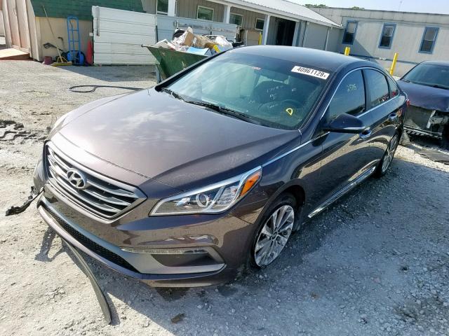 5NPE34AF1FH150105 - 2015 HYUNDAI SONATA SPO BLACK photo 2