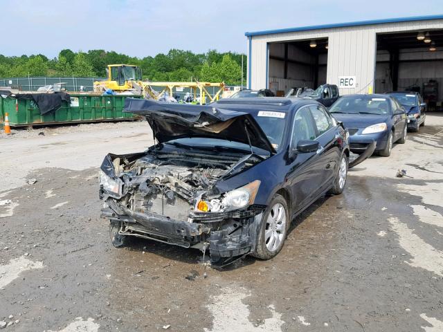 1HGCP36858A052299 - 2008 HONDA ACCORD EXL BLACK photo 2