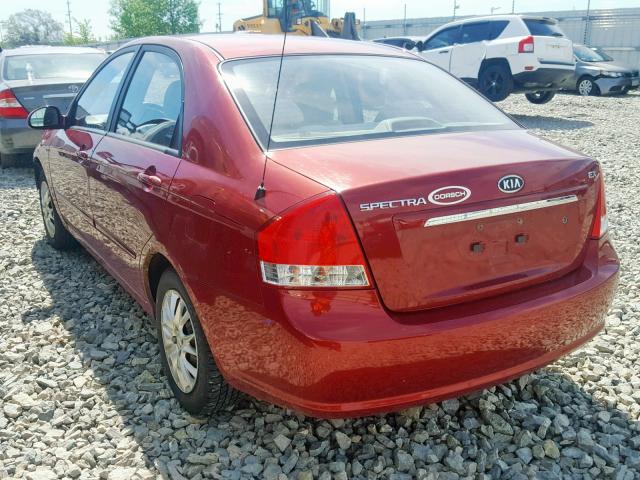 KNAFE221395631190 - 2009 KIA SPECTRA EX RED photo 3