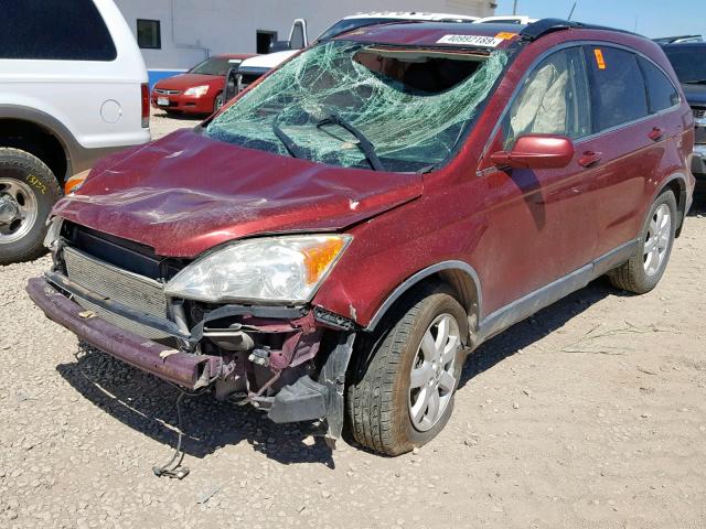 JHLRE48747C080268 - 2007 HONDA CR-V EXL BURGUNDY photo 2