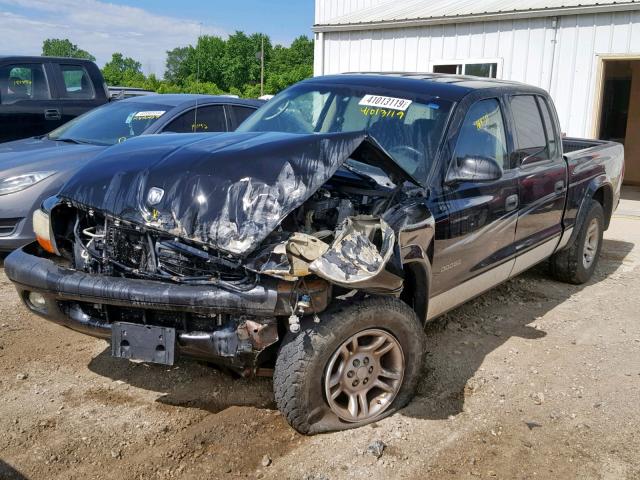 1D7HG38N63S120447 - 2003 DODGE DAKOTA QUA BLACK photo 2