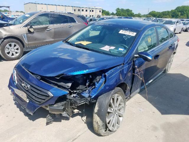 5NPE34AF3GH326511 - 2016 HYUNDAI SONATA SPO BLUE photo 2