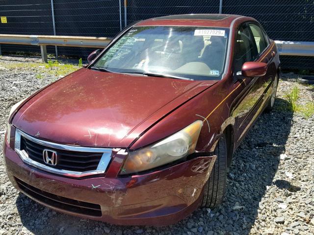 1HGCP26838A068446 - 2008 HONDA ACCORD EXL BURGUNDY photo 2