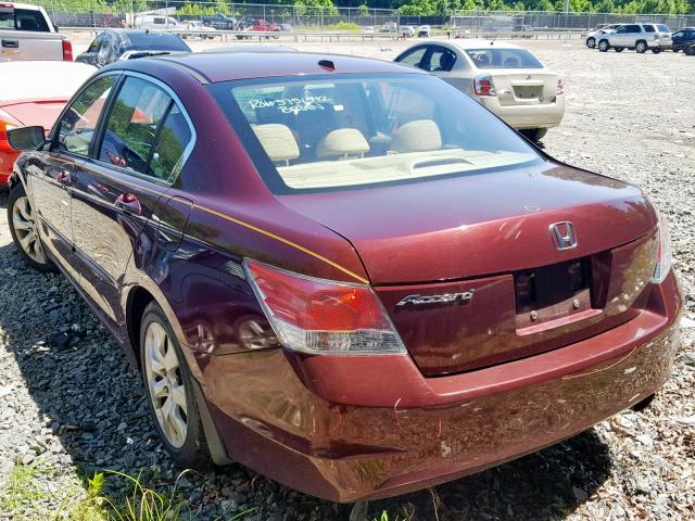 1HGCP26838A068446 - 2008 HONDA ACCORD EXL BURGUNDY photo 3