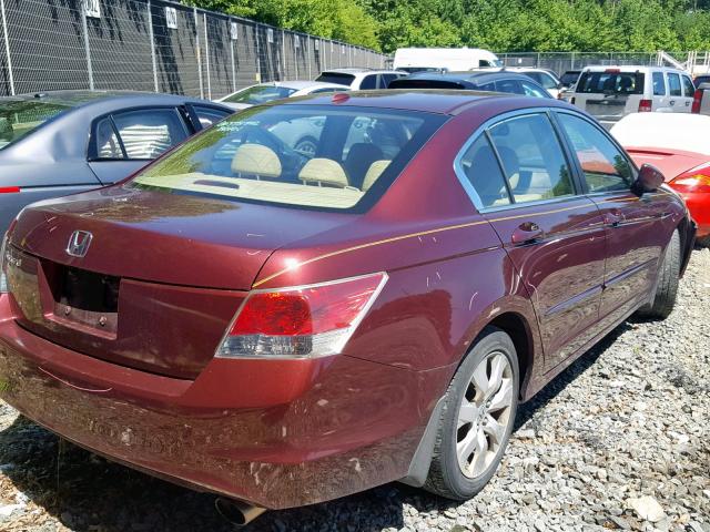 1HGCP26838A068446 - 2008 HONDA ACCORD EXL BURGUNDY photo 4