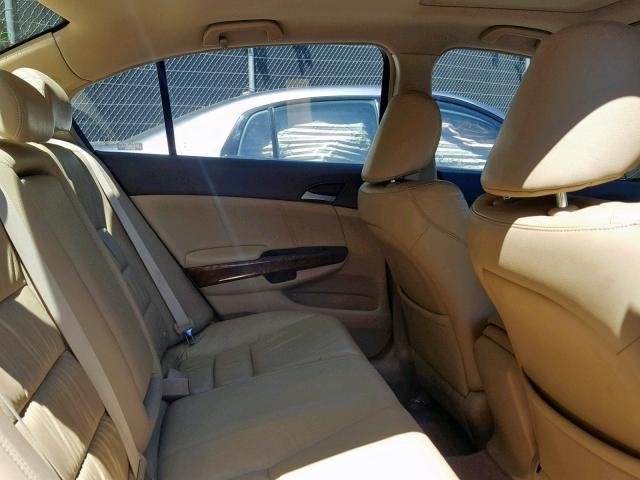 1HGCP26838A068446 - 2008 HONDA ACCORD EXL BURGUNDY photo 6