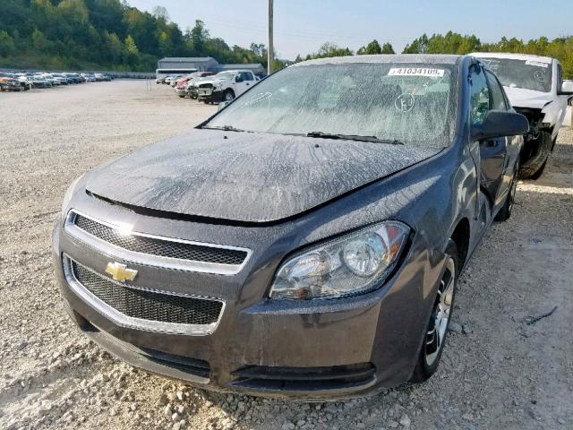 1G1ZB5EB3AF299967 - 2010 CHEVROLET MALIBU LS GRAY photo 2