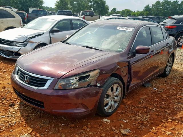 1HGCP26859A169781 - 2009 HONDA ACCORD EXL BURGUNDY photo 2