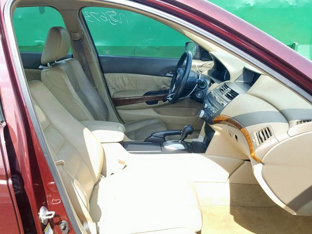 1HGCP26859A169781 - 2009 HONDA ACCORD EXL BURGUNDY photo 5