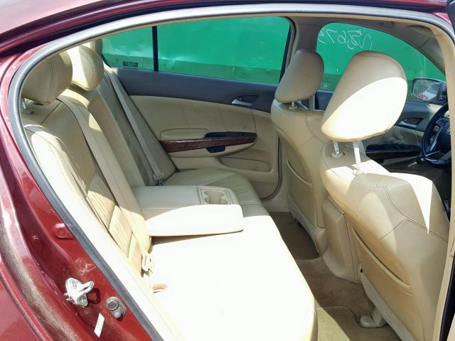 1HGCP26859A169781 - 2009 HONDA ACCORD EXL BURGUNDY photo 6